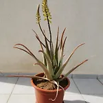 Σπίτι διακοπών Relax 2 A 10 Minutos De Corralejo *